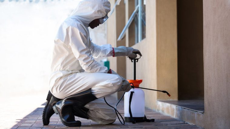 Une personne portant un équipement de protection s'accroupit tout en utilisant un pulvérisateur à pompe pour se débarrasser des nuisibles à proximité d'un bâtiment, assurant ainsi la sécurité du processus.