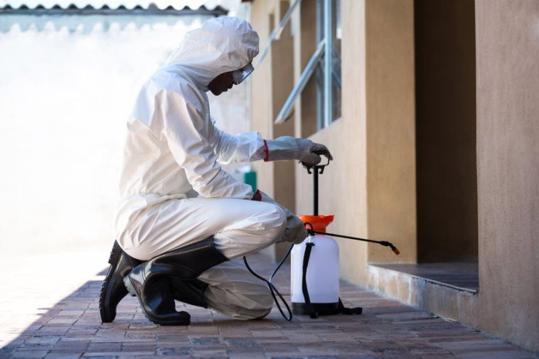 Une personne portant un équipement de protection s'accroupit tout en utilisant un pulvérisateur à pompe pour se débarrasser des nuisibles à proximité d'un bâtiment, assurant ainsi la sécurité du processus.